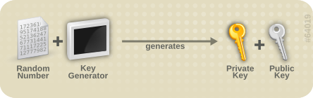 images/Public_key_making.png