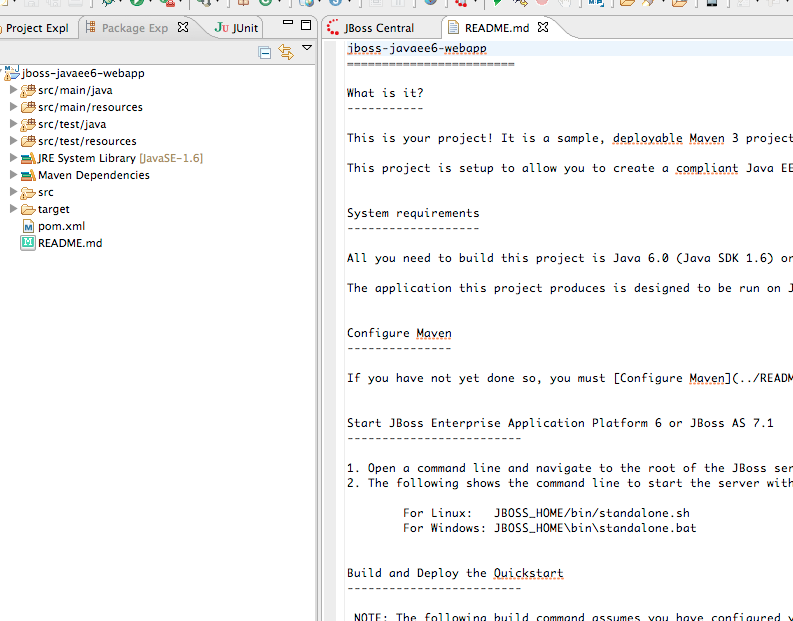 Eclipse JavaEEWebProject 4